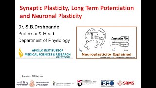 Synaptic Plasticity, Long Term Potentiation and Neuronal Plasticity by SB Deshpande