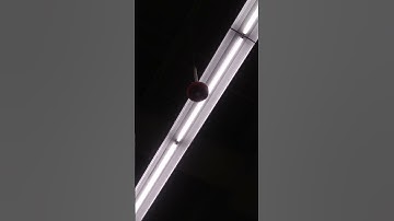 System Sensor L Series LED PC2RLED Horn Strobe