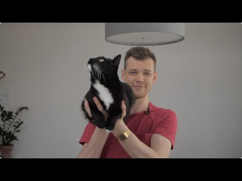 Video: Sirds Bloķēšana Vai Vadīšanas Aizkavēšanās (priekšā Pa Kreisi) Kaķiem