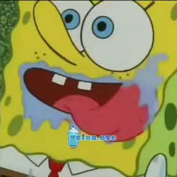 Story wa lucu'entah apa yg merasuki mu'versi spongebob