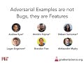 Adversarial Examples Are Not Bugs, They Are Features: NeurIPS 2019 Video