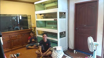 หมูปลาสั้น - งานขนส่งและติดตั้งตู้ปลา 60/3 ชั้นกรองบน พร้อมเชื่อมระบบ Overflow จบวันเดียว Set 2