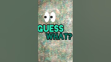 Guess what it is? #guess what#macro challenge#focus #focus mystery#short#guess #map