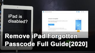 iPad is Disabled? Remove iPad Forgotten Passcode Full Guide [2024]
