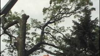 Falling Compilation 3