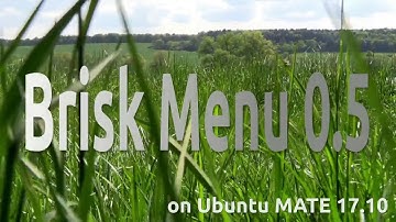 Brisk Menu 0.5 - Installation Guide and Look At