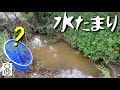 河原の小さな水たまり、ガサガサしたら久しぶりの生き物が！！