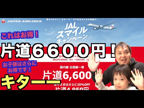 JALスマイルキャンペーン 国内線タイムセールを発表！セール内容を解説していきます！ 4K