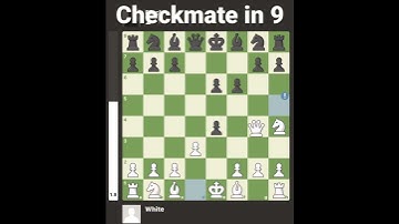 Checkmate in 9 move