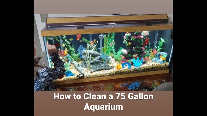 75 gallon fish tank canister filter