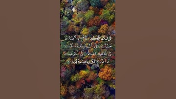 سورة الكافرون تلاوة رائعة 🌿🤍 #foryou #قرآن #قران_كريم #funny #ماهر_المعيقلي