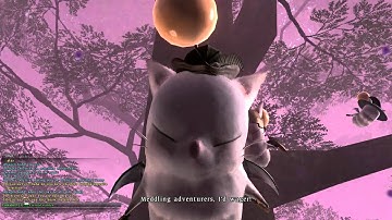 FFXIV - Moogle/Thornmarch Opening Cut Scene