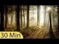 30 Minute Deep Sleep Music, Meditation, Calm Music, Sleep Therapy, Relax, Study, Spa, Sleep, ☯077B