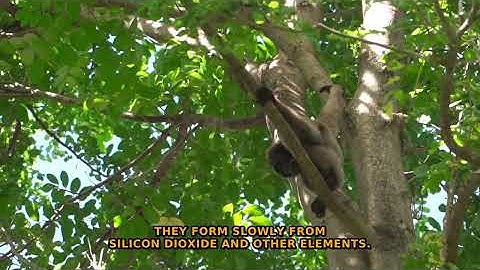 The Hidden Science of Crystal Growth Revealed (Timelapses)