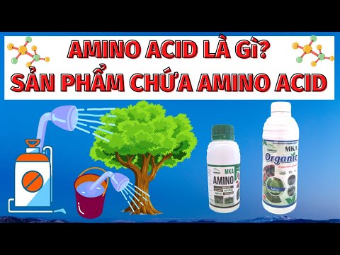 Video: Agu là axit amin nào?
