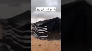 ياسعود قامت تلوح بروق على الديار الشمالية