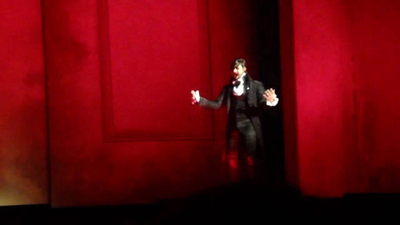 Mozart L Opera Rock L Assasymphonie