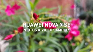 HUAWEI nova 7 SE Photo & Video Samples