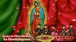 La guadalupana grupo la fibra norteña