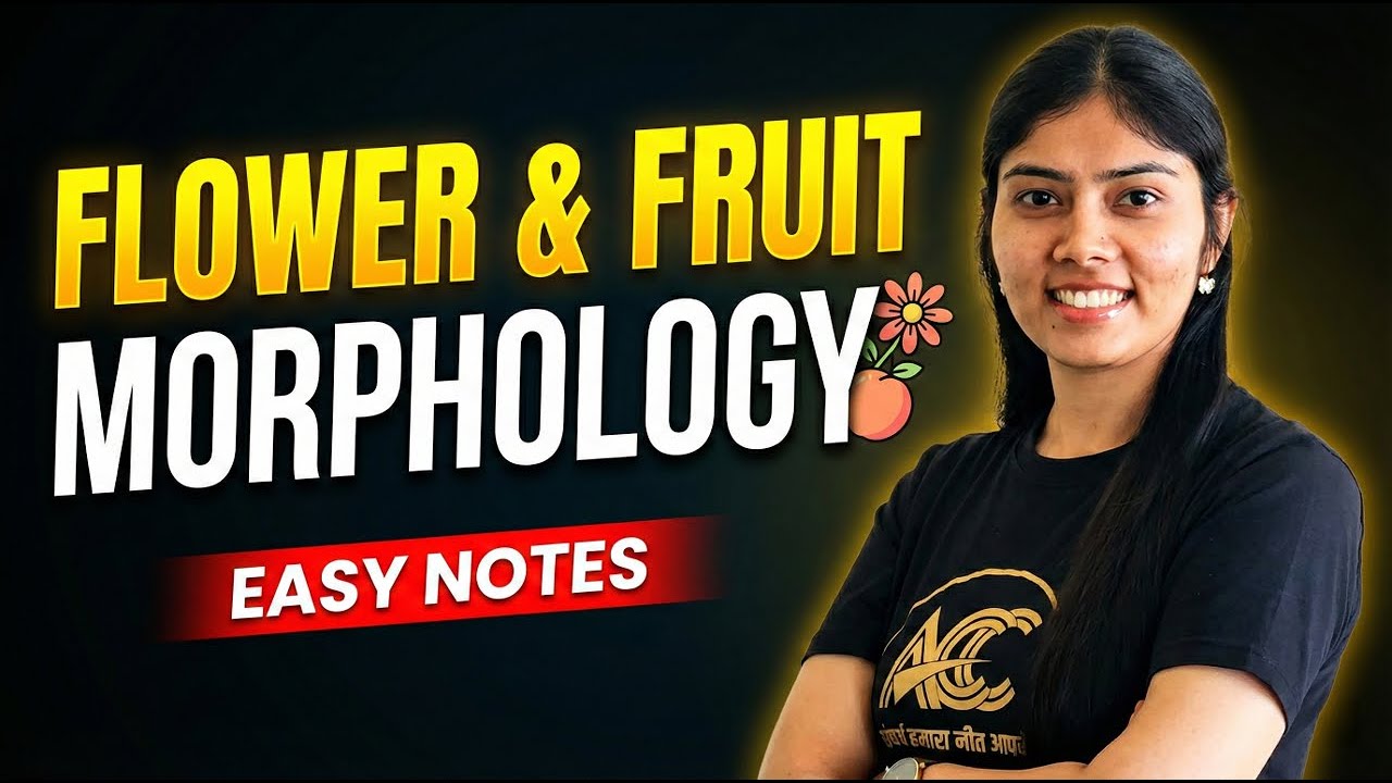 Type of Fruits | Concept to Selection – Day 7 | (Clear in 15  Min)