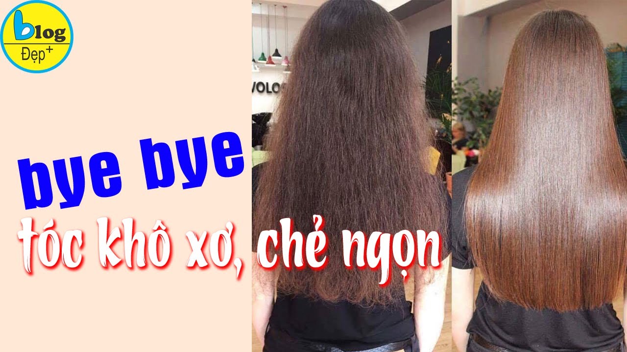 Top 5 cách phục hồi tóc khô xơ chẻ ngọn chuẩn salon tại nhà  Weilaiya  Việt Nam