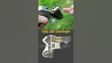 🇺🇸 The Power of COP .357 in Your Palm 🔫