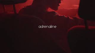indigo jam unit - adrenaline