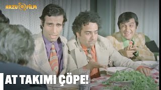 Takım İyice Bku Yedi Köyden İndim Şehire