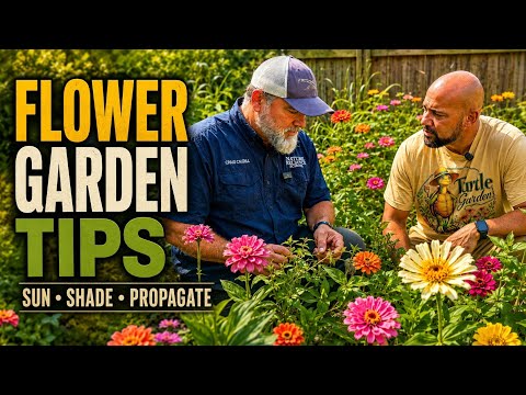 Flower Gardening for Beginners: What to Know Before You Plant