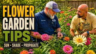Flower Gardening for Beginners: What to Know Before You Plant
