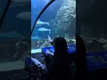 SEA LIFE, MUNICH.