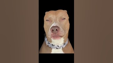 stacking in the big 25🫩✌🏽 #codwarzone #funny