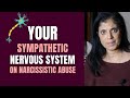 What narcissistic relationships do to your sympathetic nervous system