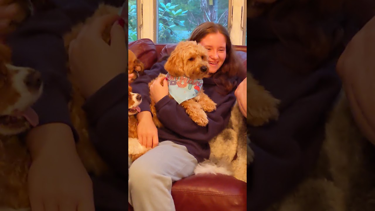 1st birthday party for puppy Little Jamie Fraaer