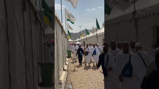#funny #comedy #birds #vlog #duet #viralvideo #kabrastan #mazarsharif #travel #youtubeshorts #shorts