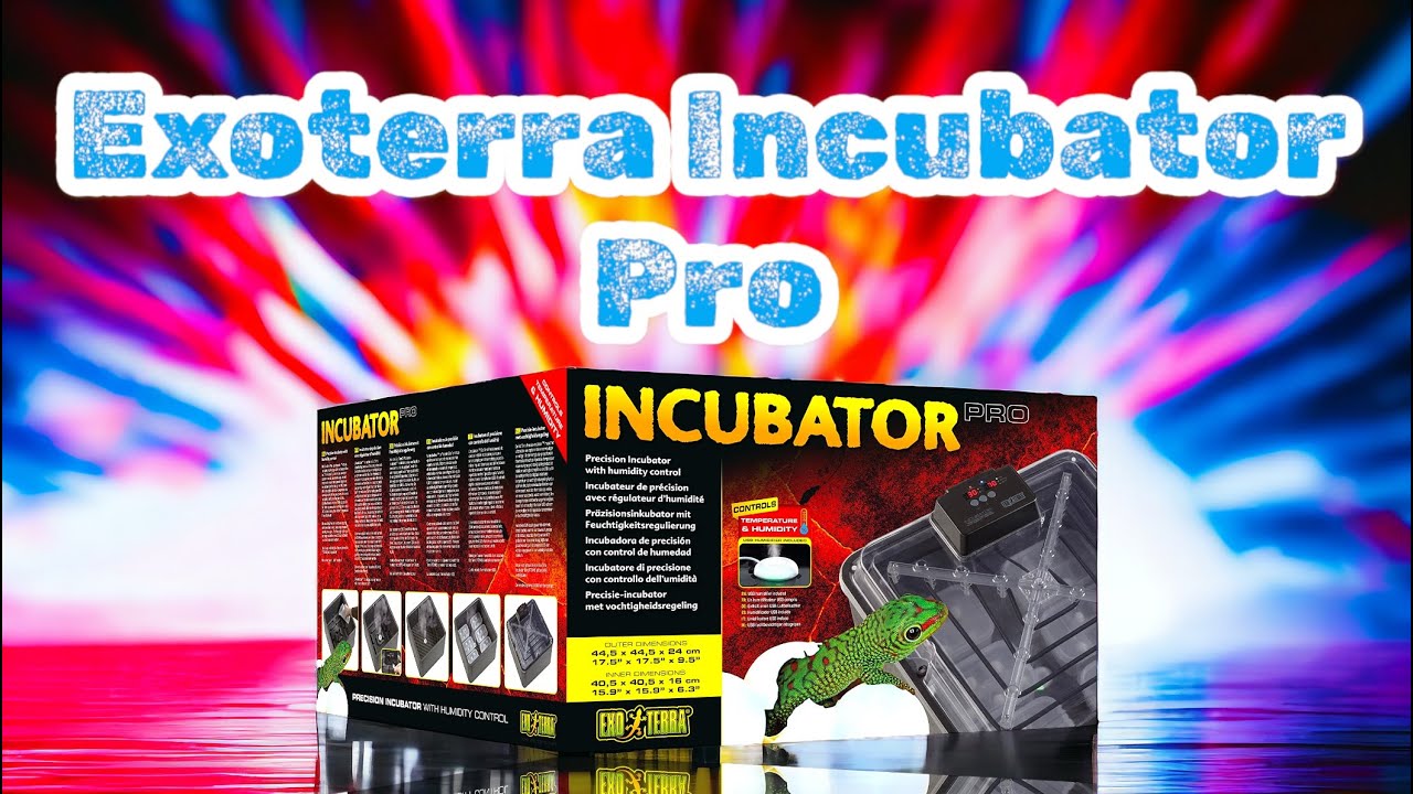 Incubatore Uova Rettili Exo Terra - Con Controllo Umidità E Temperatura | Display LED - Foto 2