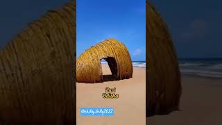 Niladri beach Puri, Odisha | New Sea beach in Puri | must visit #beach#puri#NiladriBeach#BeachVibes