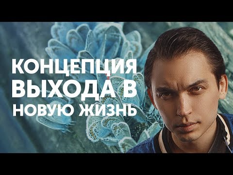 Концепция выхода в новую жизнь | Петр Осипов Метамофрозы БМ