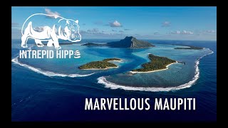 Marvellous Maupiti: Sailing Intrepid Hippo