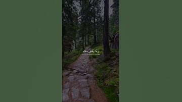 (ربي اجعلني مقيم الصلاة ومن ذريتي ربنا وتقبل دعاء) سورة ابراهيم~مقاطع قصيره~حالات واتساب دينيه~قران