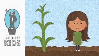 Faith is Like Planting a Seed | Animated Scripture Lesson for Kids (Updated)
