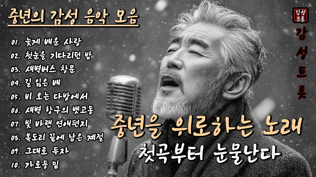 첫곡부터 눈물난다❄️ | 중년의 마음을 위로하는 감성 트로트 10곡 모음 (10편) #감성트롯 #중년음악 #7080음악