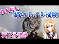 簡単！猫のトイレ掃除！固まって流せる猫砂