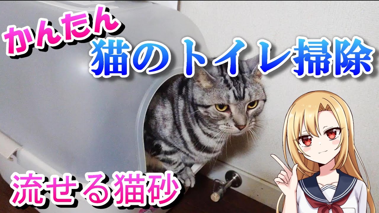 簡単！猫のトイレ掃除！固まって流せる猫砂 - YouTube