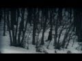 Marco Parente - Neve Ridens