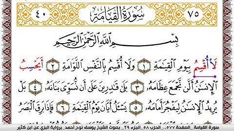 سورة القيامة مكتوبة يوسف نوح احمد برواية البزي عن ابن كثير