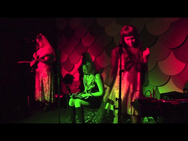 Brat Paque on February 1, 2019 at The Wooly, Gainesville, FL