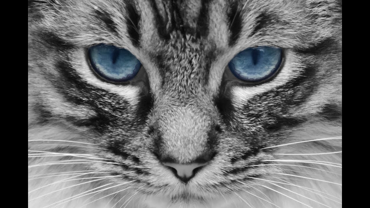 Kryon - Connecting With God