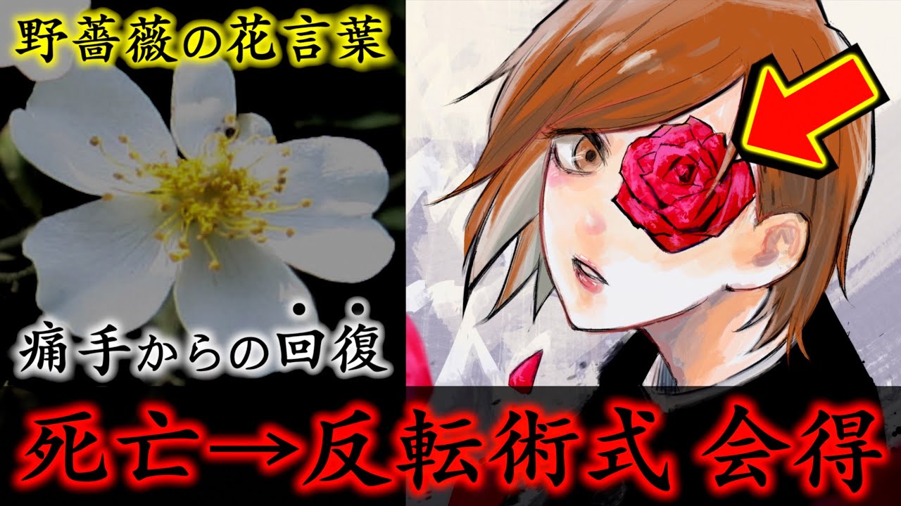 呪術廻戦 死亡からの復活 釘崎野薔薇は 反転術式 を会得する 名前に隠された 花言葉の本当の意味 がヤバイ ネタバレ注意 考察 劇場版 呪術廻戦 0 興行収入100億突破おめでとう Youtube