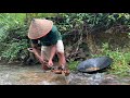 YANG LAGI VIRAL DI MEDIA SOSIAL 2021..!! PENEMUAN SUNGAI EMAS | the discovery of the golden river